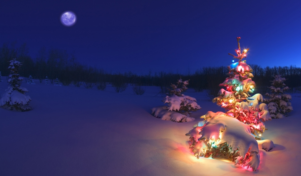 Christmas Tree for 1024 x 600 widescreen resolution