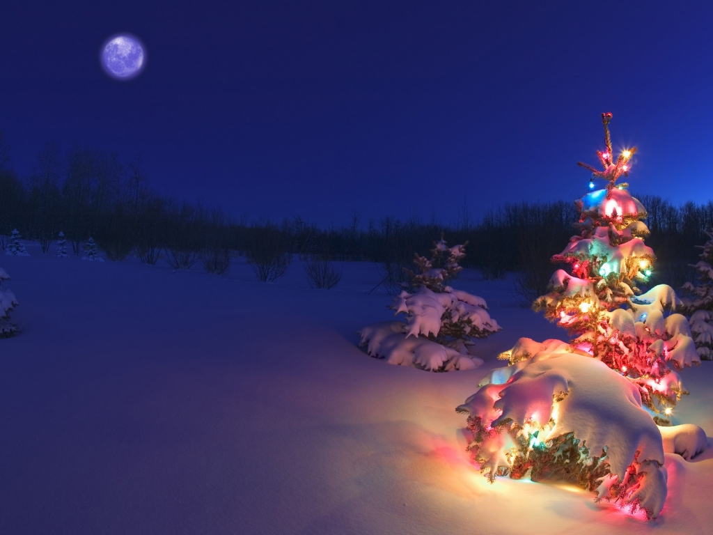 Christmas Tree for 1024 x 768 resolution