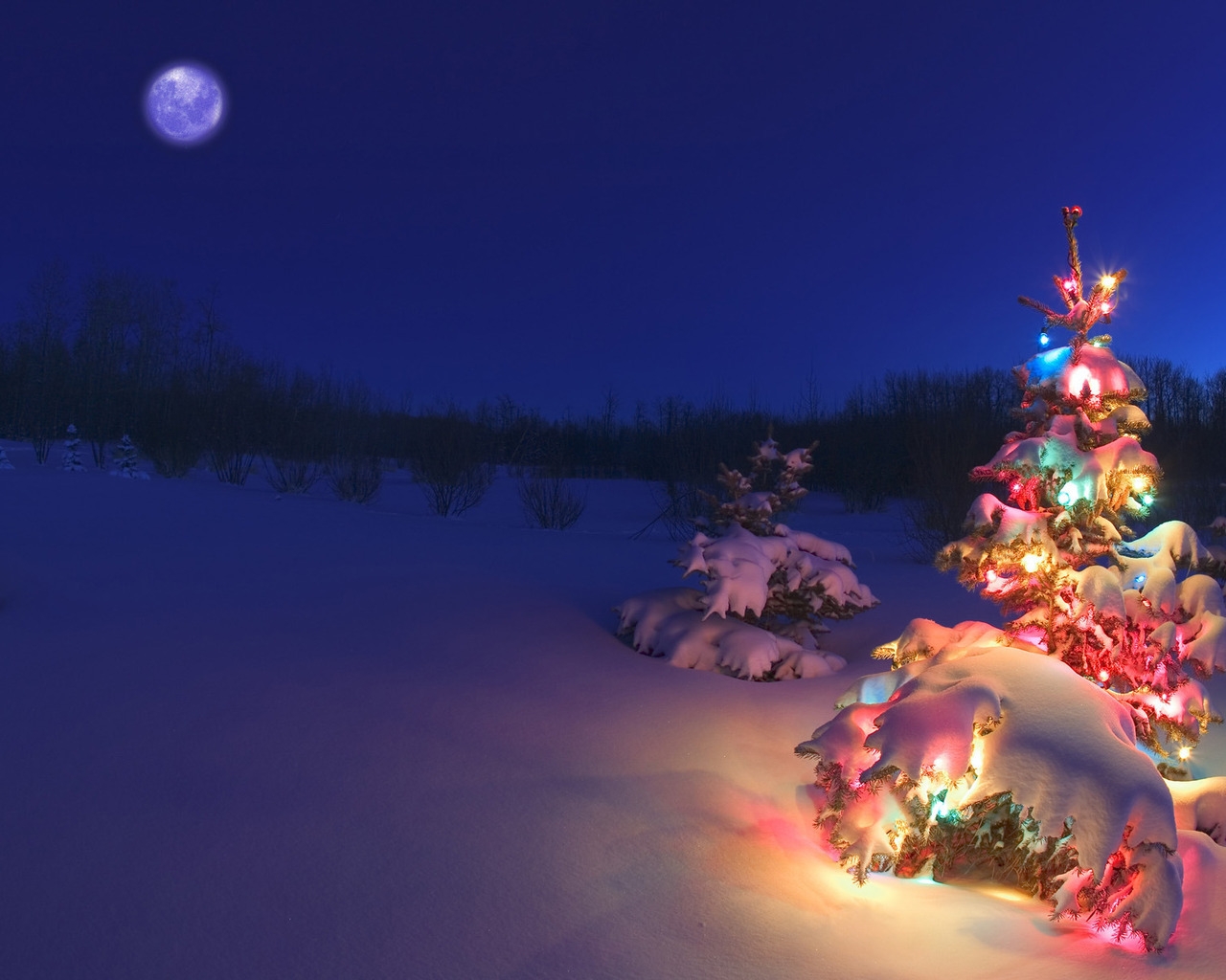 Christmas Tree for 1280 x 1024 resolution