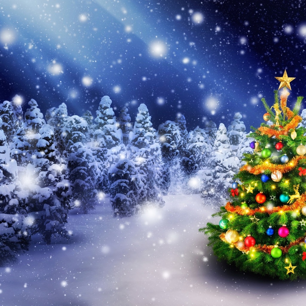 Christmas Tree in Snow for 1024 x 1024 iPad resolution