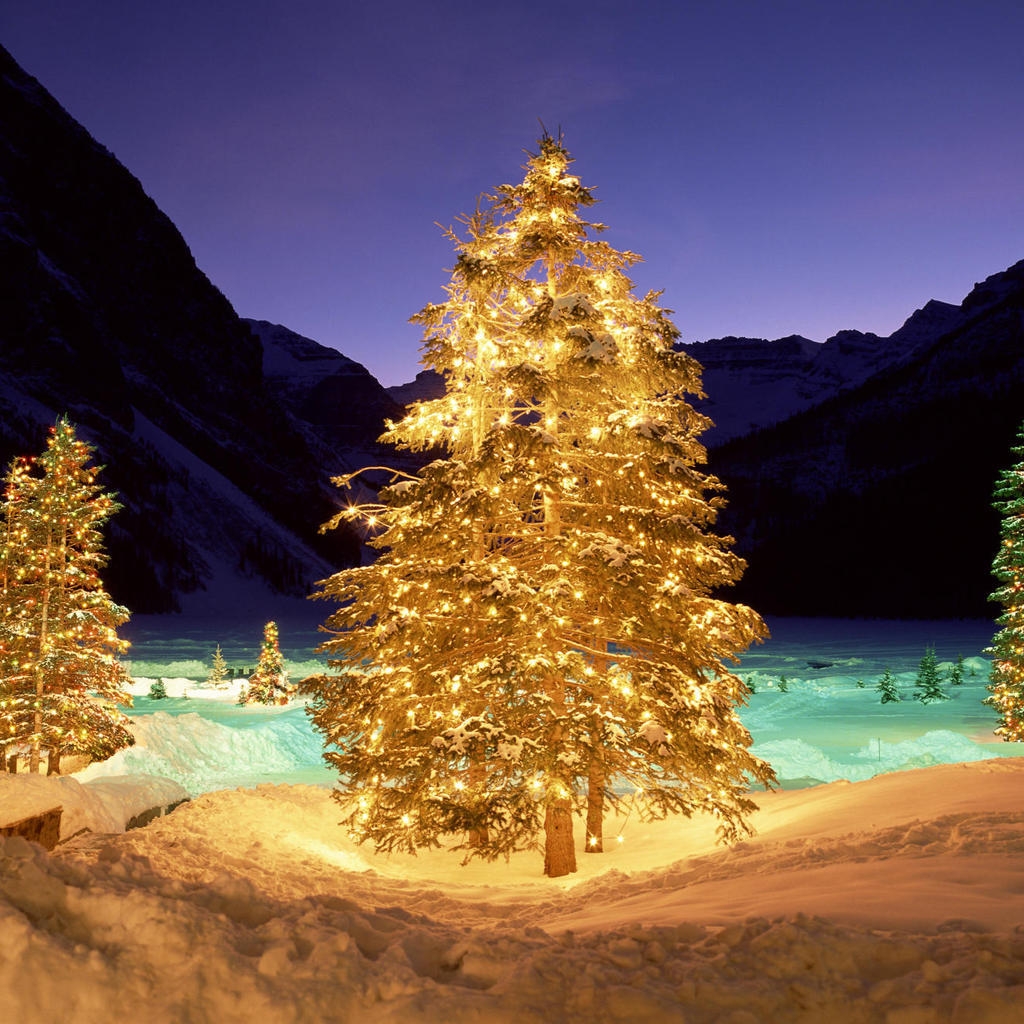 Christmas Tree Lighting for 1024 x 1024 iPad resolution