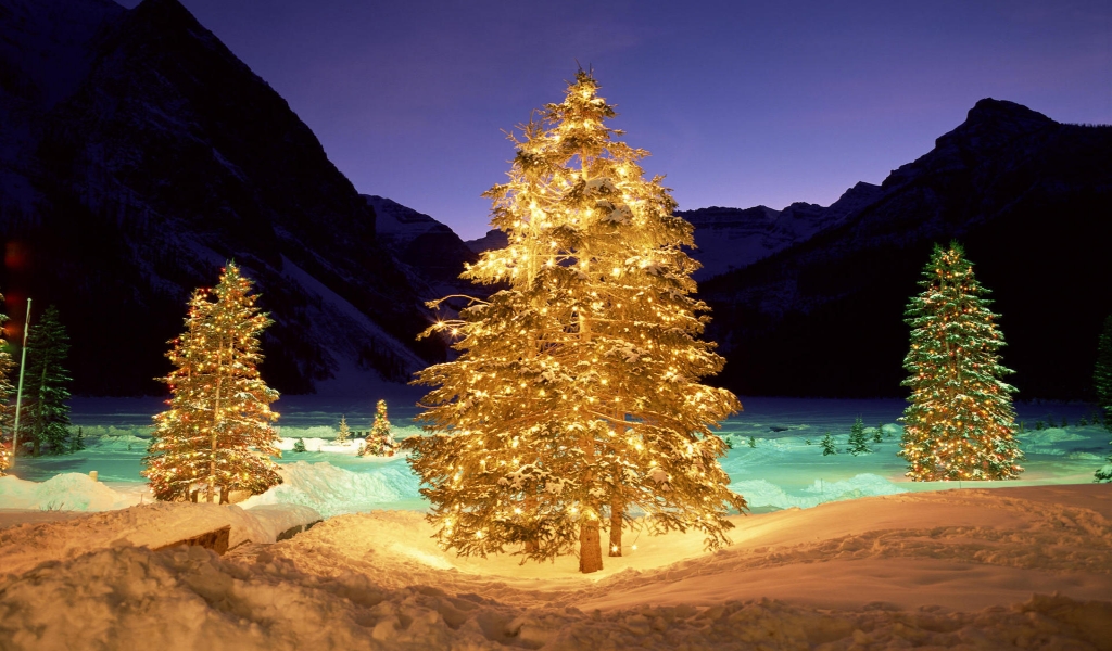 Christmas Tree Lighting for 1024 x 600 widescreen resolution