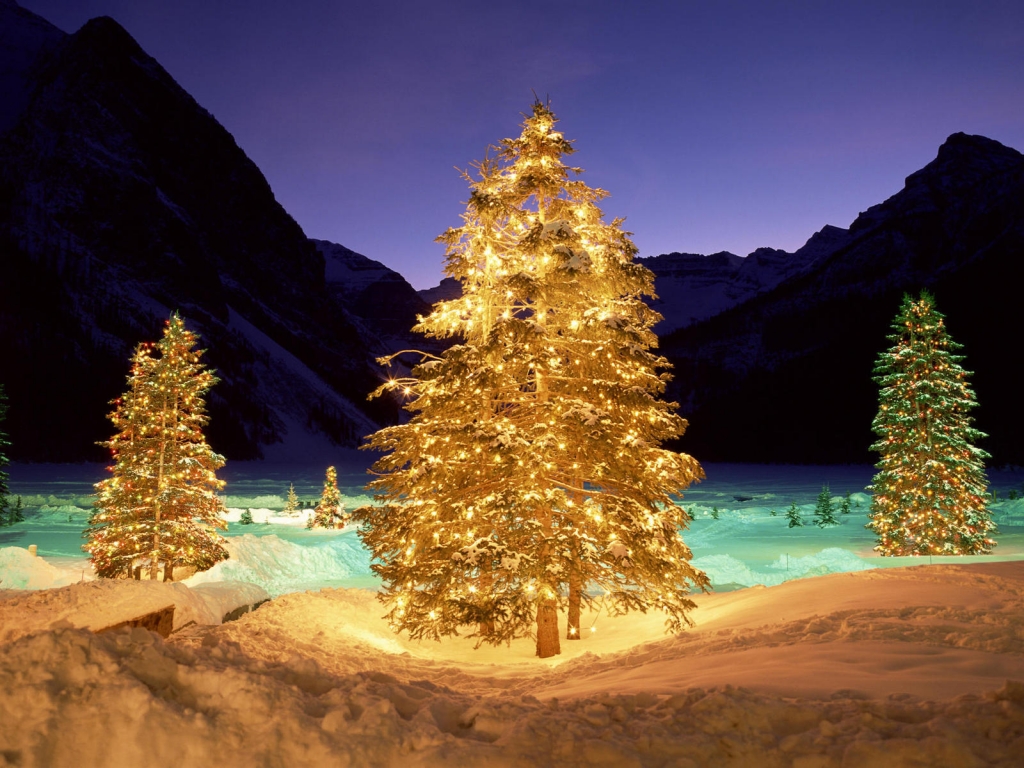 Christmas Tree Lighting for 1024 x 768 resolution