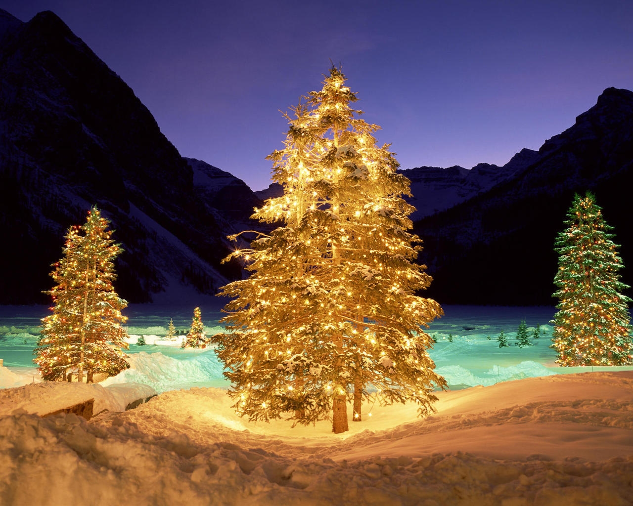 Christmas Tree Lighting for 1280 x 1024 resolution