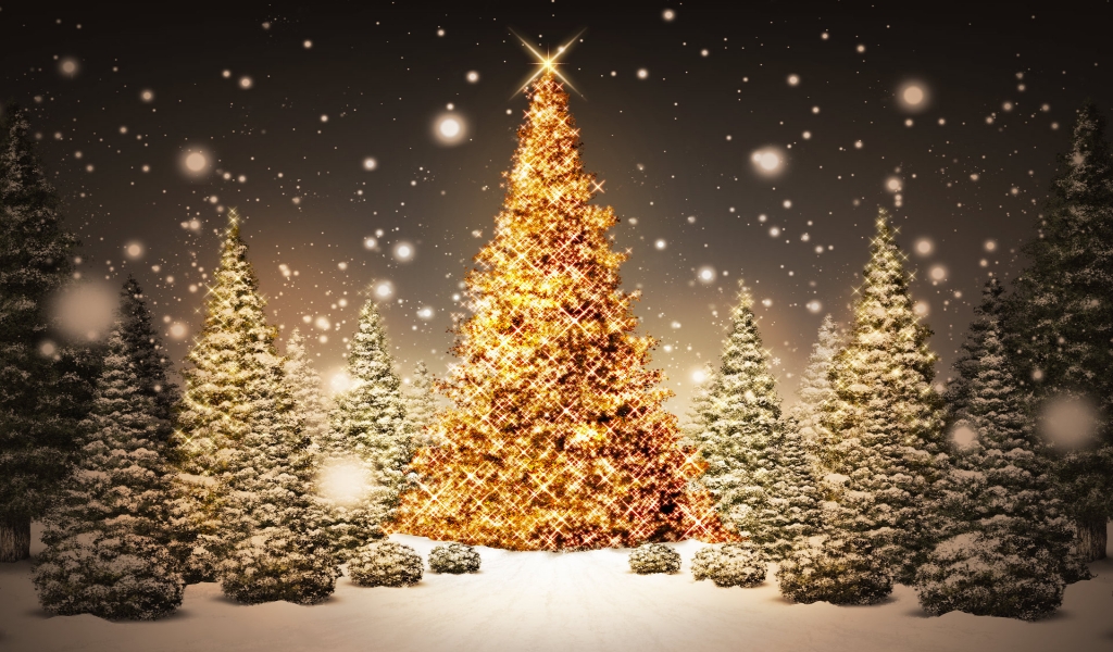 Christmas Trees for 1024 x 600 widescreen resolution