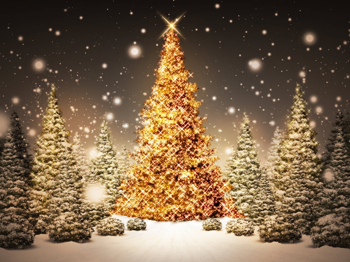 Christmas Trees for 1152 x 864 resolution
