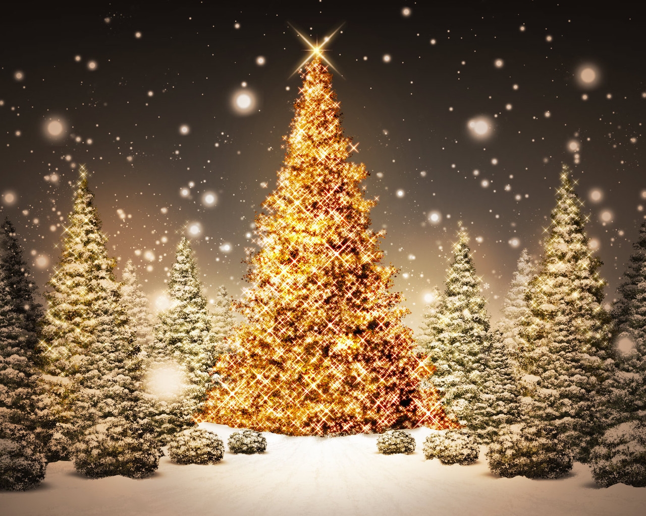 Christmas Trees for 1280 x 1024 resolution