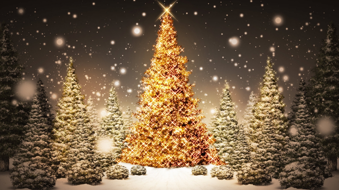 Christmas Trees for 1366 x 768 HDTV resolution