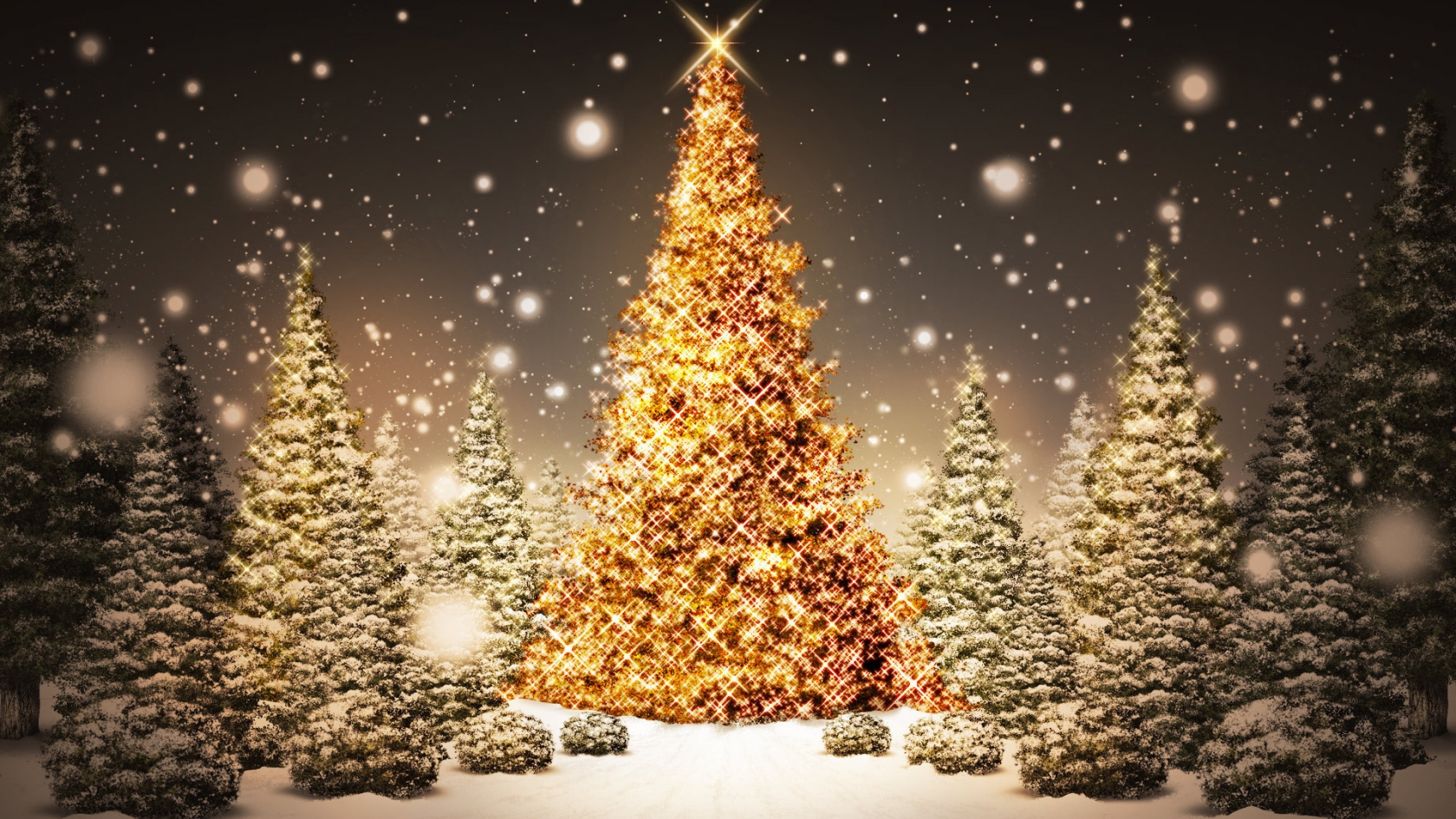 Christmas Trees for 1680 x 945 HDTV resolution