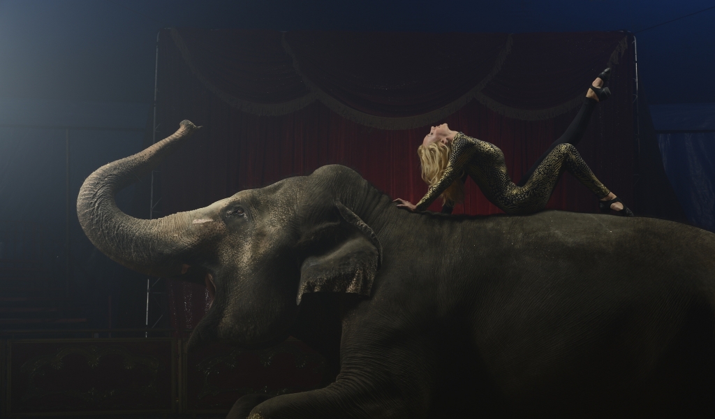 Circus for 1024 x 600 widescreen resolution