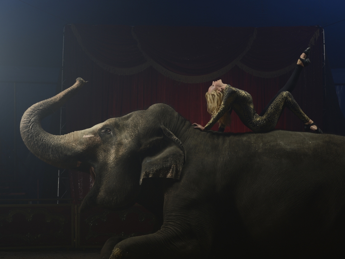 Circus for 1152 x 864 resolution
