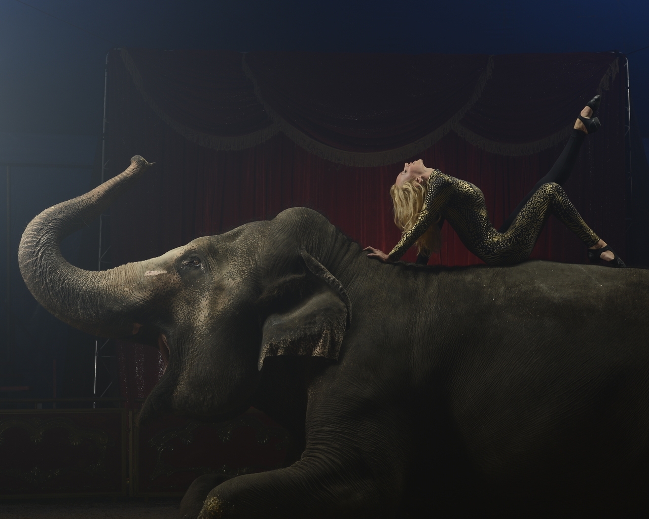 Circus for 1280 x 1024 resolution