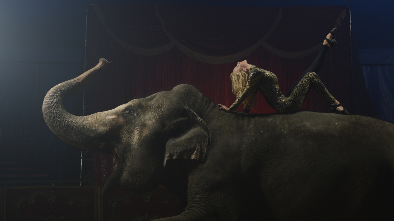 Circus for 1366 x 768 HDTV resolution