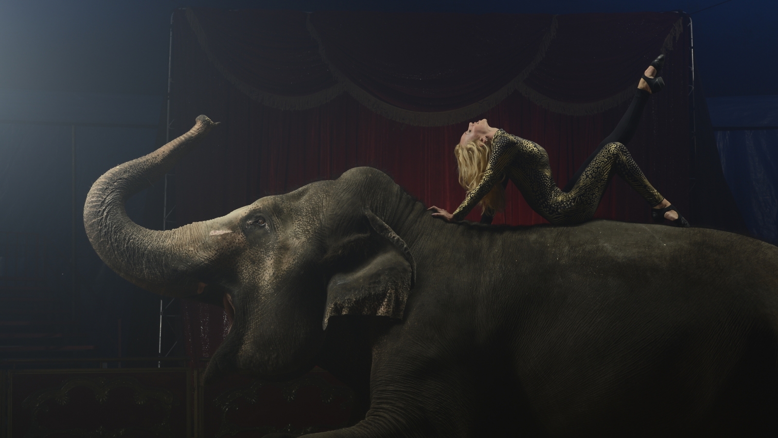 Circus for 1600 x 900 HDTV resolution