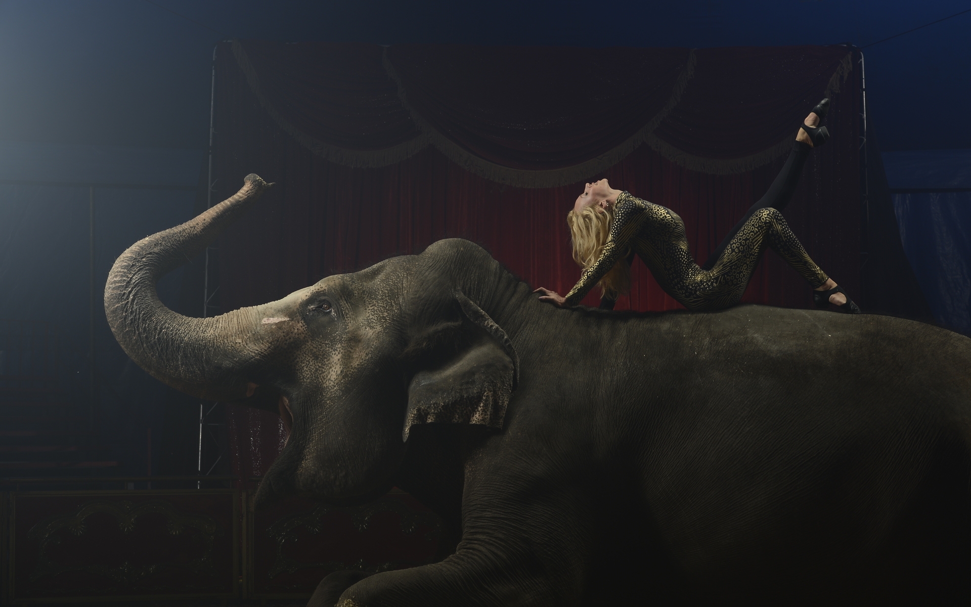 Circus for 1920 x 1200 widescreen resolution