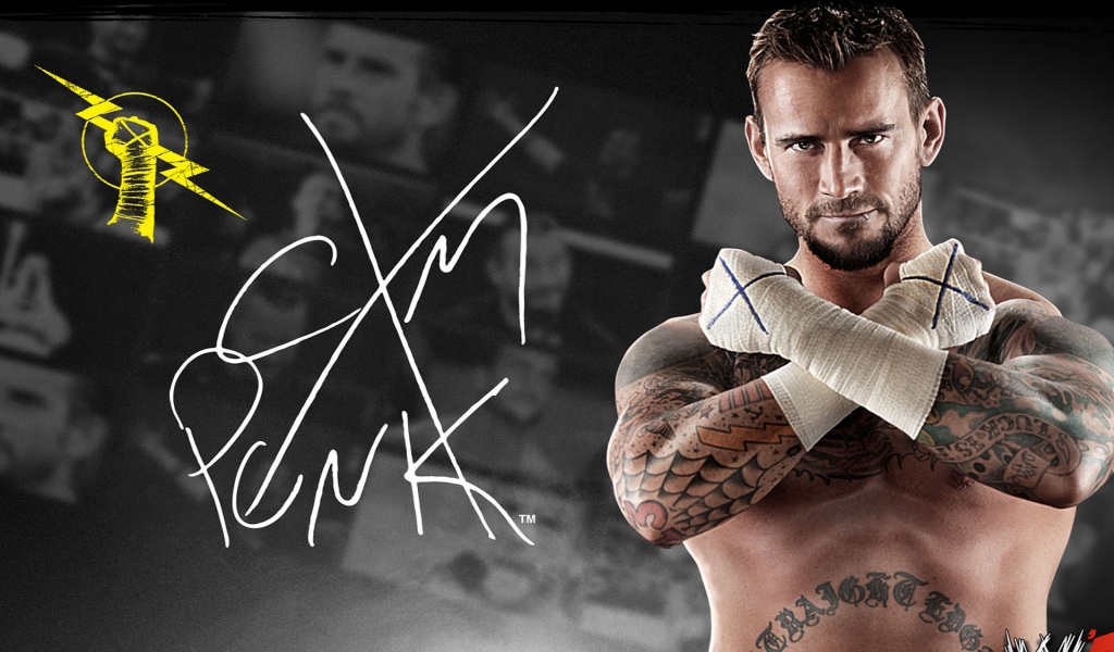 CM Punk WWE for 1024 x 600 widescreen resolution