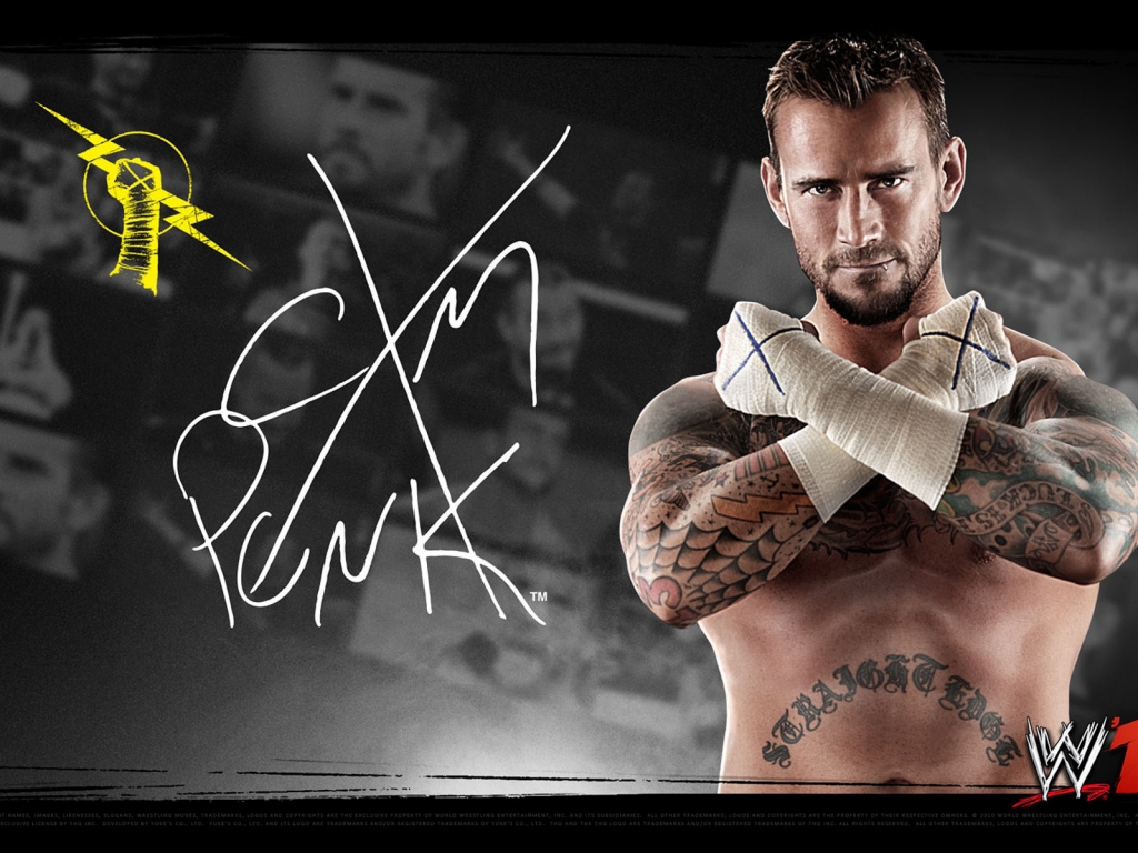 CM Punk WWE for 1024 x 768 resolution
