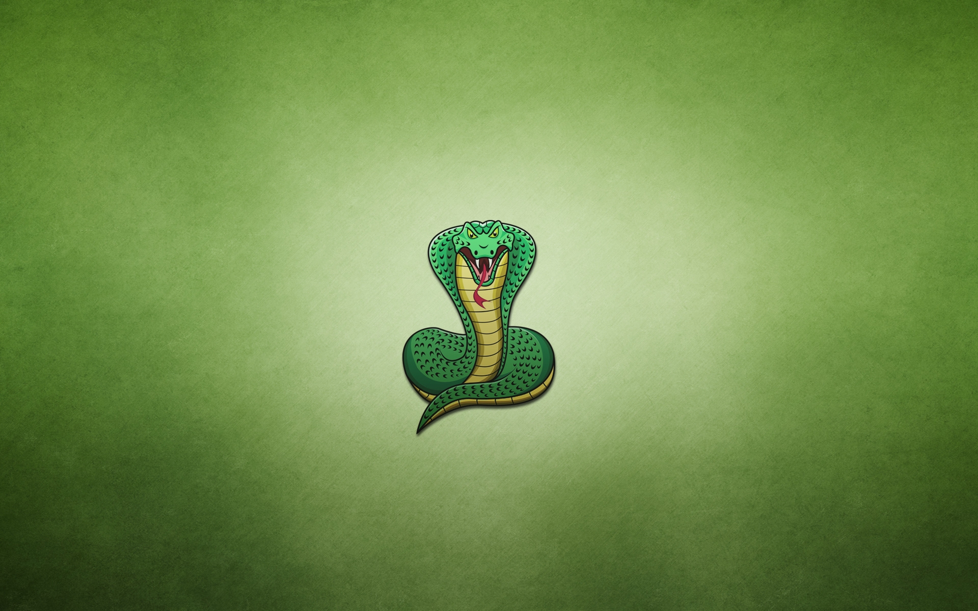 Cobra Snake Drawing for 1920 x 1200 widescreen resolution
