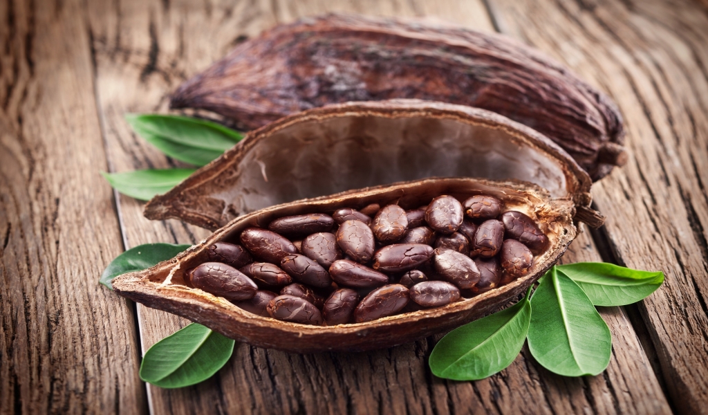 Cocoa Beans for 1024 x 600 widescreen resolution
