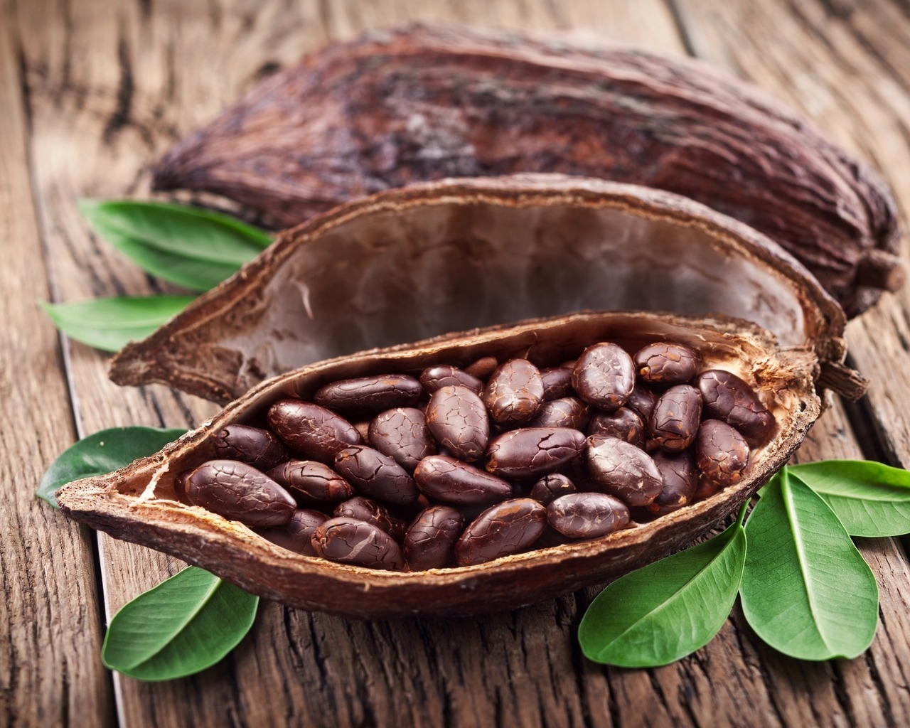 Cocoa Beans for 1280 x 1024 resolution