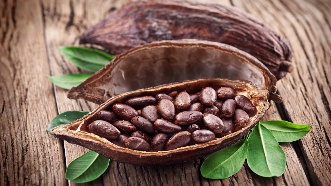 Cocoa Beans for 1280 x 720 HDTV 720p resolution