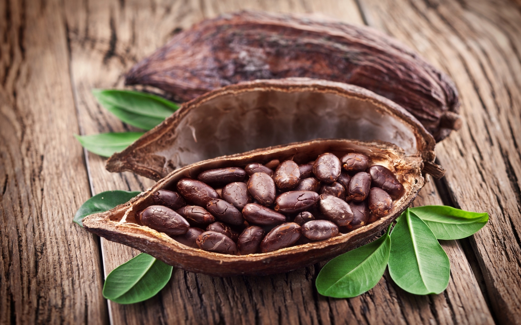 Cocoa Beans for 1680 x 1050 widescreen resolution