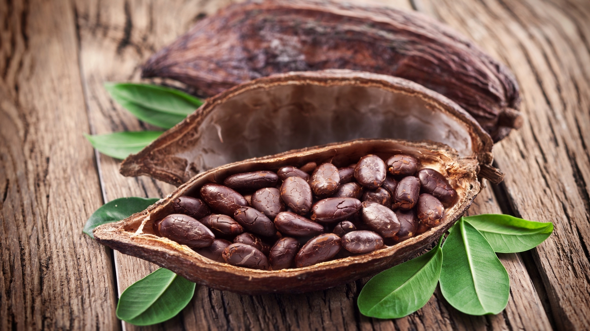 Cocoa Beans for 1920 x 1080 HDTV 1080p resolution