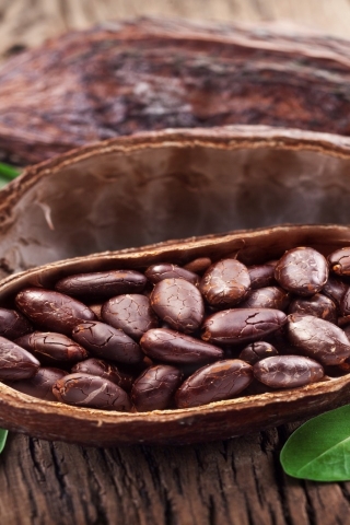 Cocoa Beans for 320 x 480 iPhone resolution