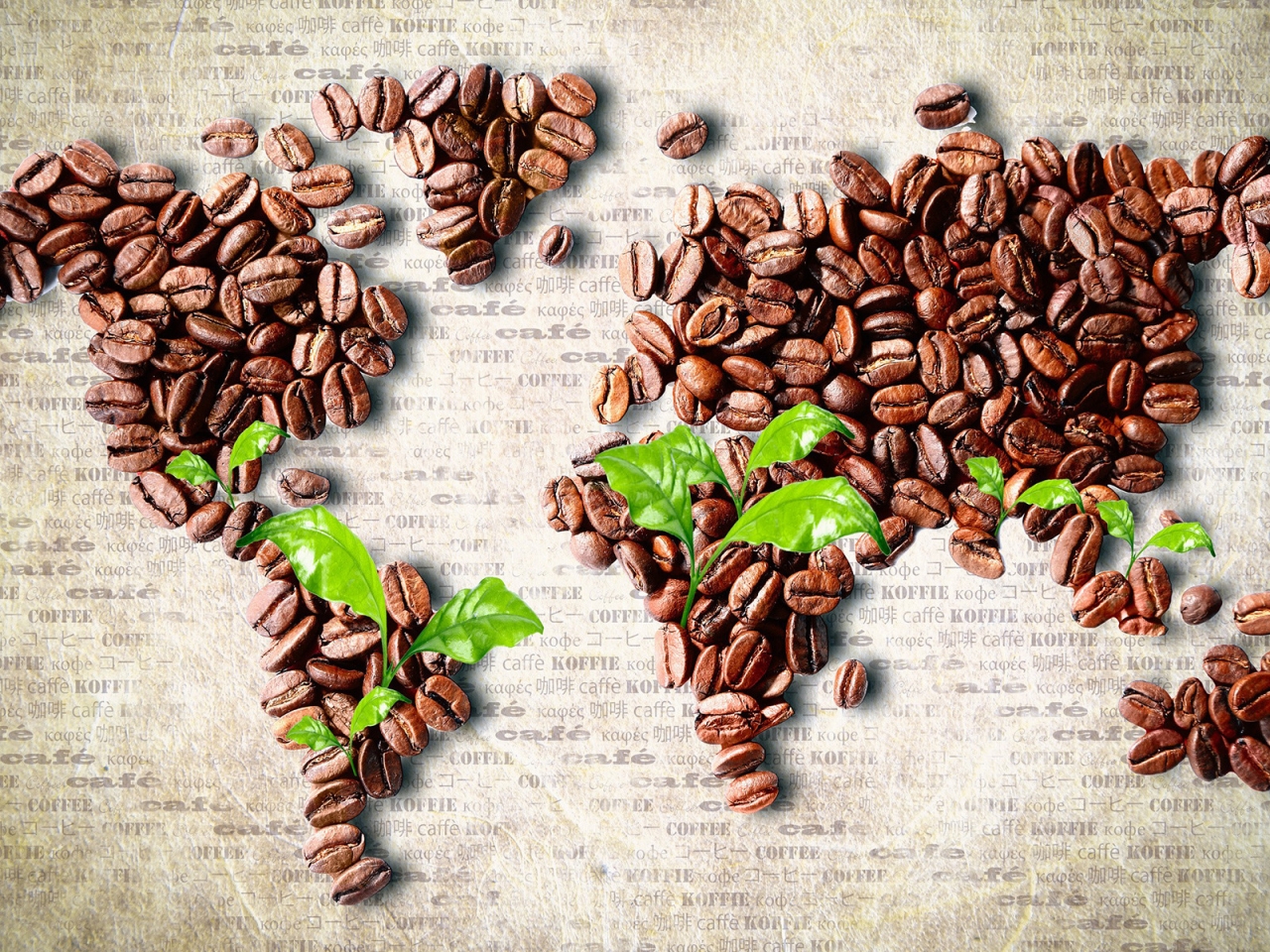 Coffee Beans World Map for 1280 x 960 resolution