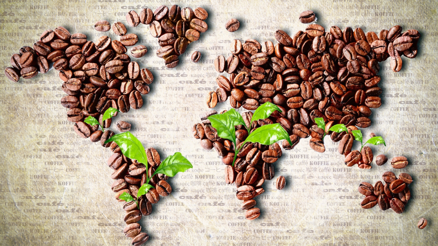 Coffee Beans World Map for 1536 x 864 HDTV resolution