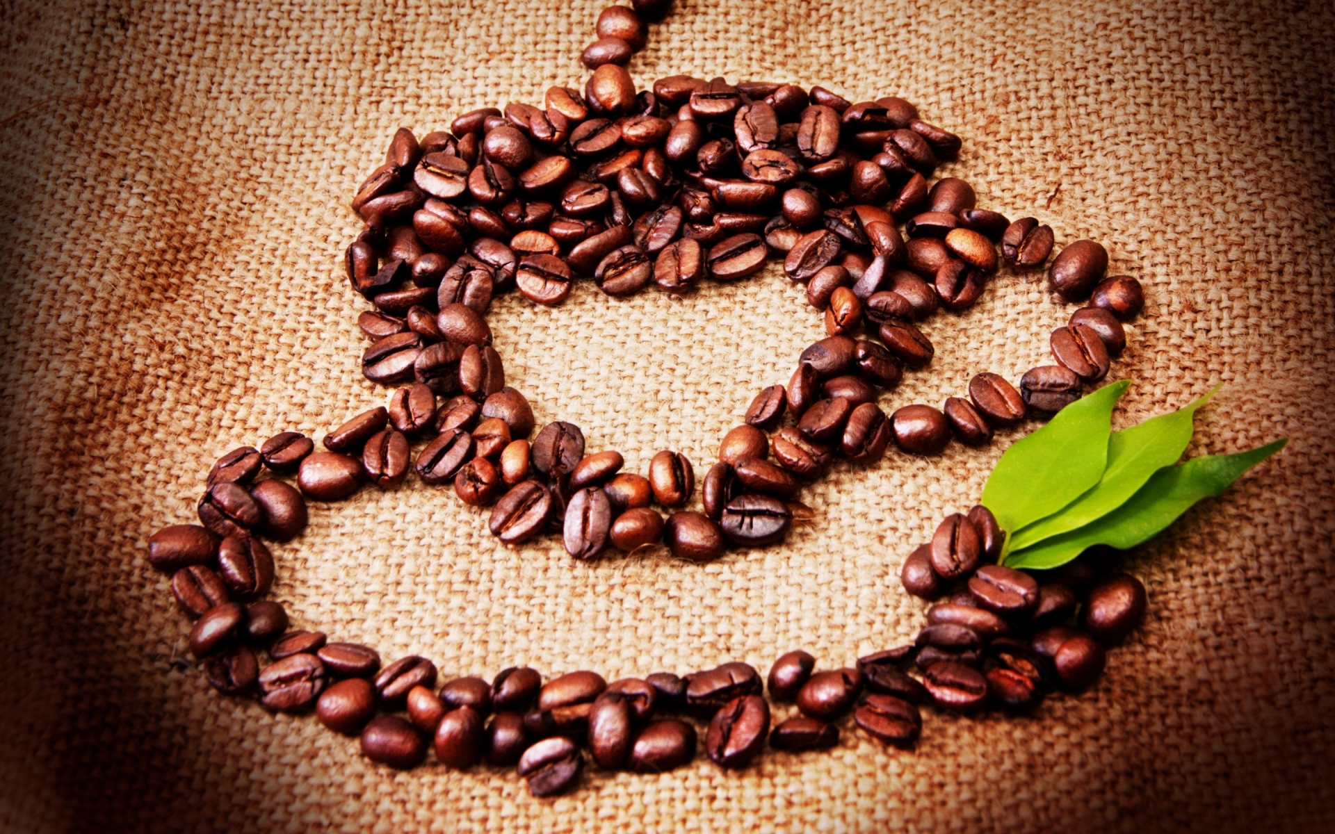 Coffee Seeds Cup for 1920 x 1200 widescreen resolution