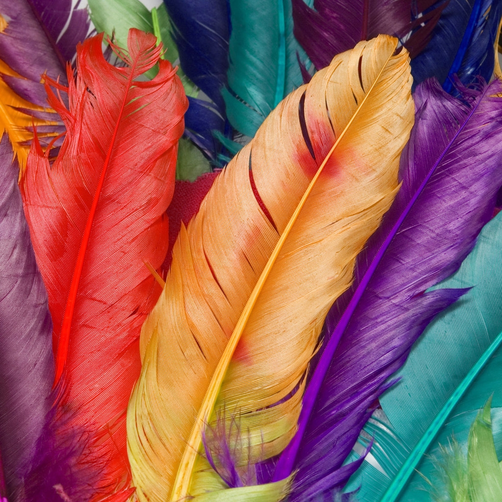 Colored Feathers for 1024 x 1024 iPad resolution