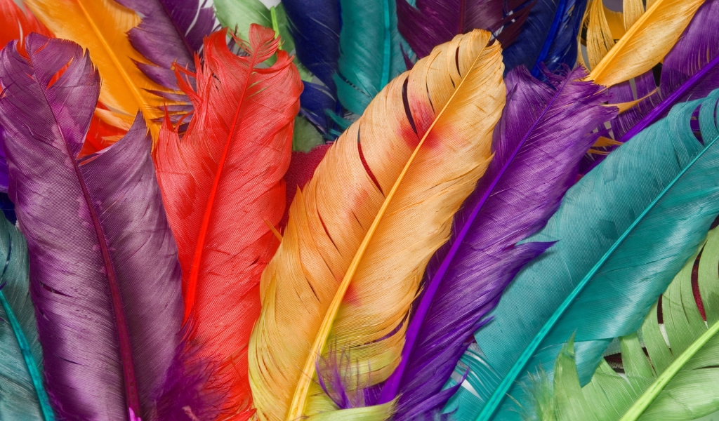 Colored Feathers for 1024 x 600 widescreen resolution