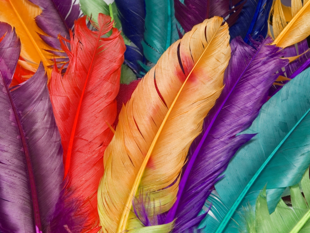 Colored Feathers for 1024 x 768 resolution