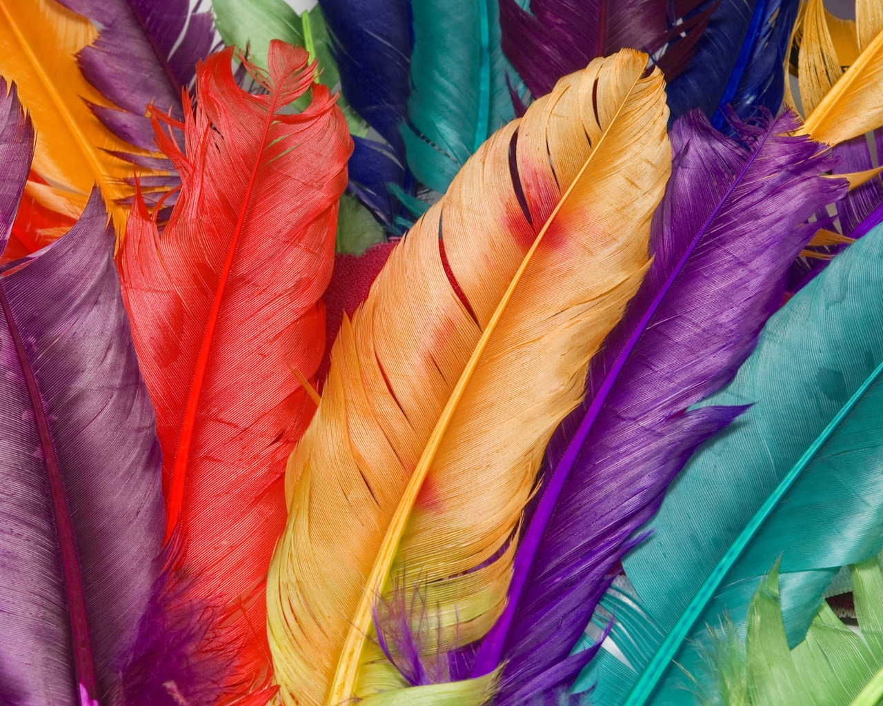 Colored Feathers for 1280 x 1024 resolution