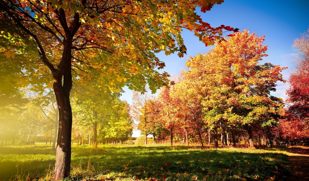 Colorful Autumn Landscape for 1024 x 600 widescreen resolution