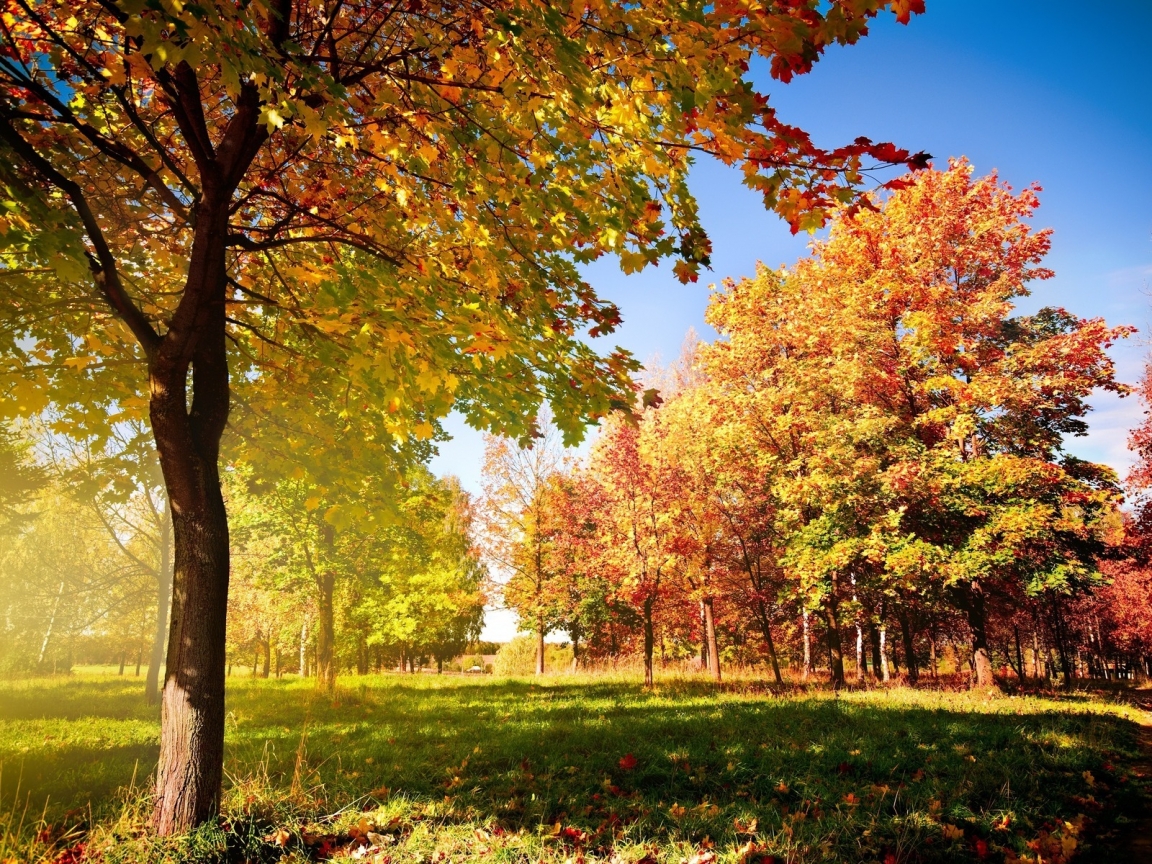 Colorful Autumn Landscape for 1152 x 864 resolution