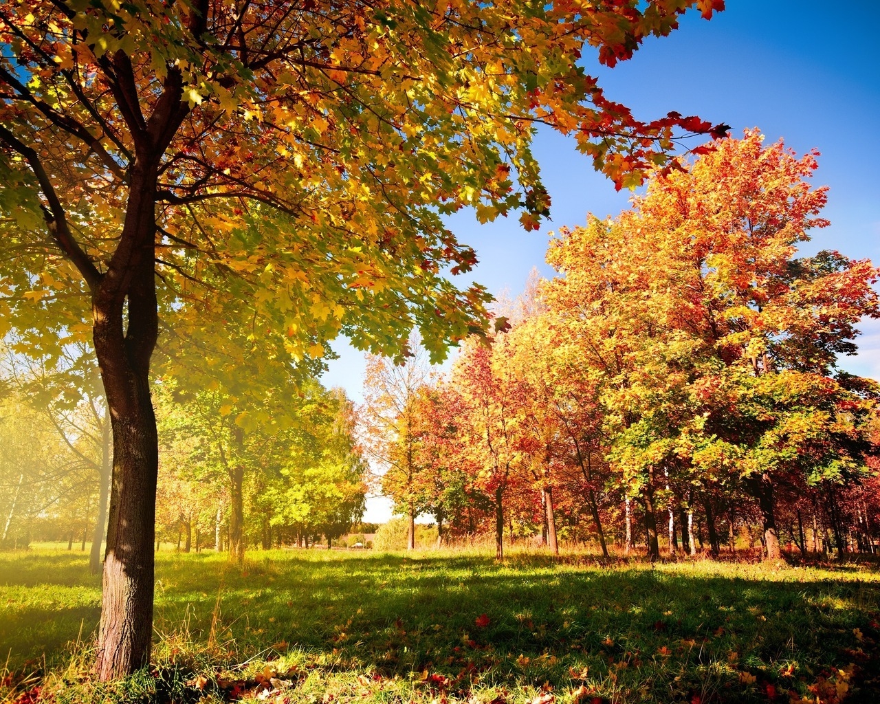 Colorful Autumn Landscape for 1280 x 1024 resolution