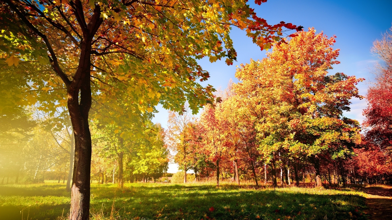 Colorful Autumn Landscape for 1366 x 768 HDTV resolution