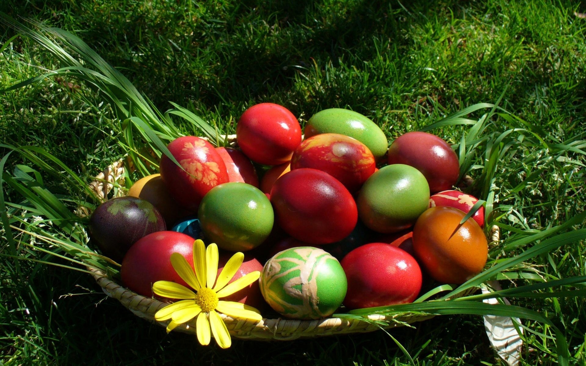 Colourful Easter Eggs for 1920 x 1200 widescreen resolution