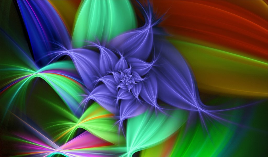 Colourful Flower for 1024 x 600 widescreen resolution