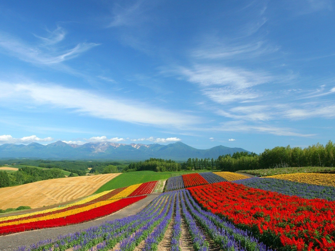 Colourful land for 1152 x 864 resolution