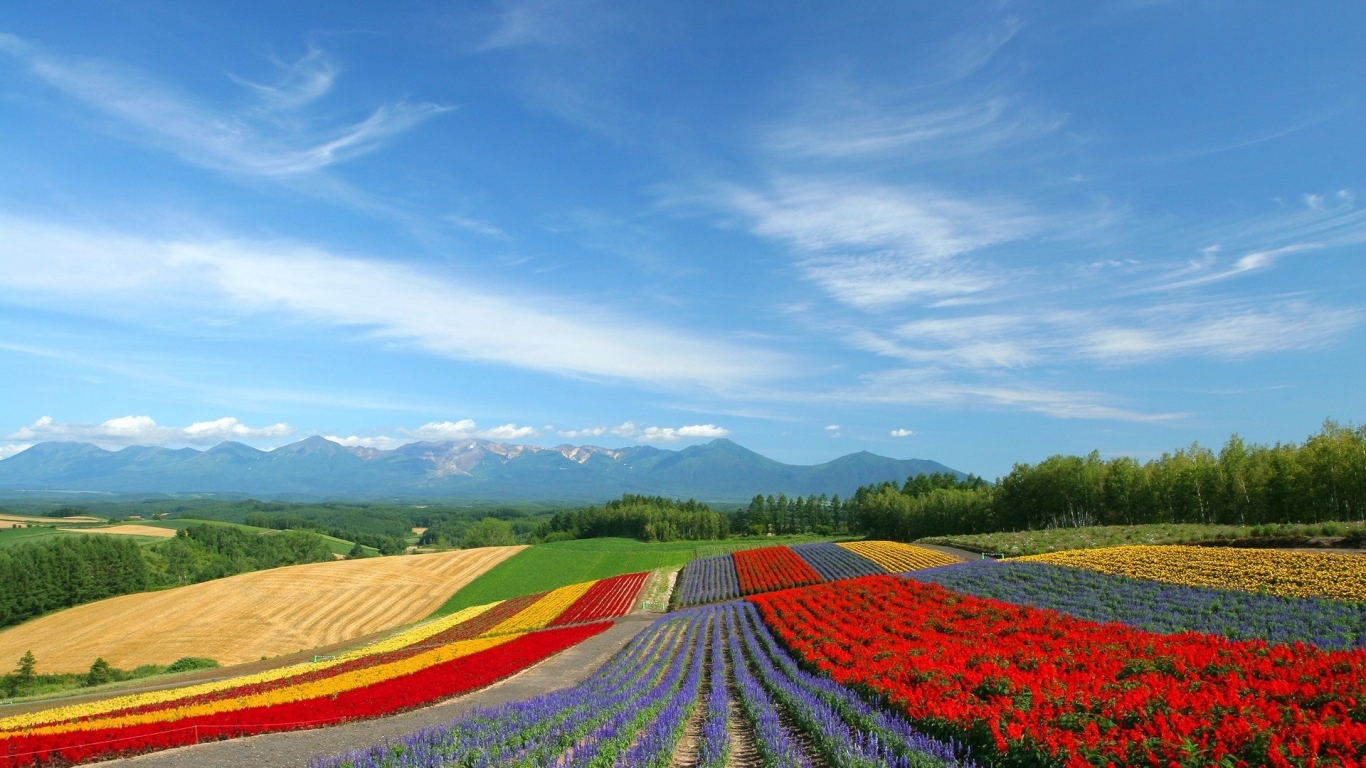 Colourful land for 1366 x 768 HDTV resolution