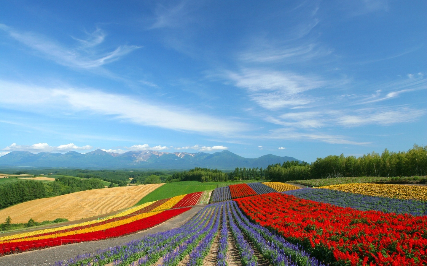 Colourful land for 1440 x 900 widescreen resolution