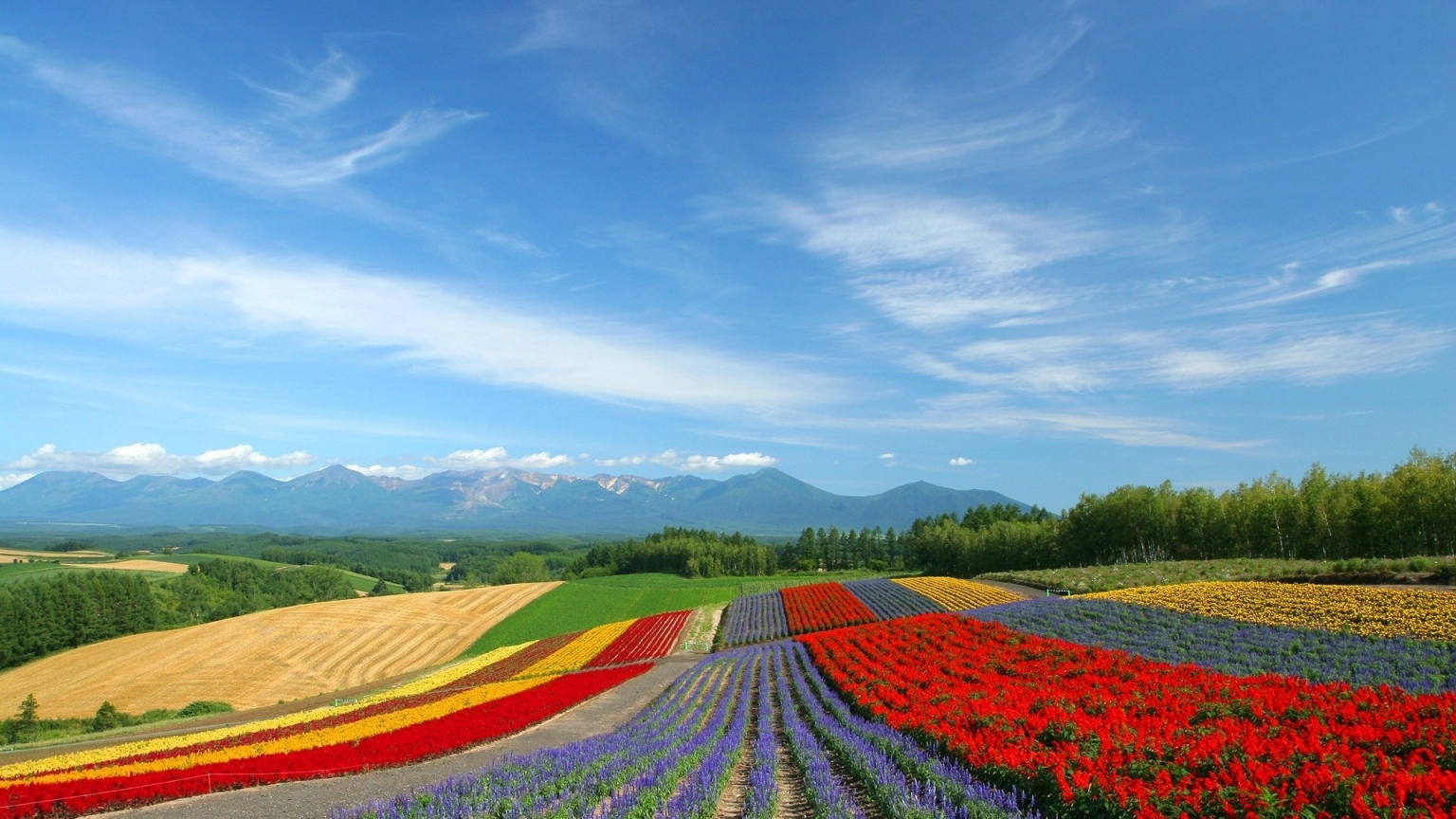 Colourful land for 1536 x 864 HDTV resolution