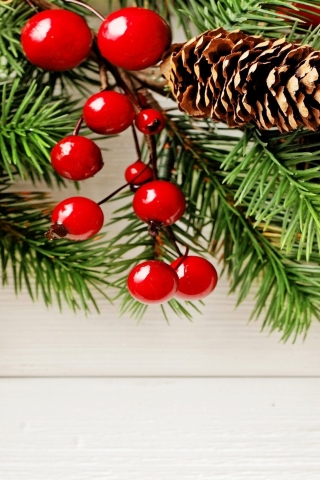 Cones and Berries Ornament  for 320 x 480 iPhone resolution