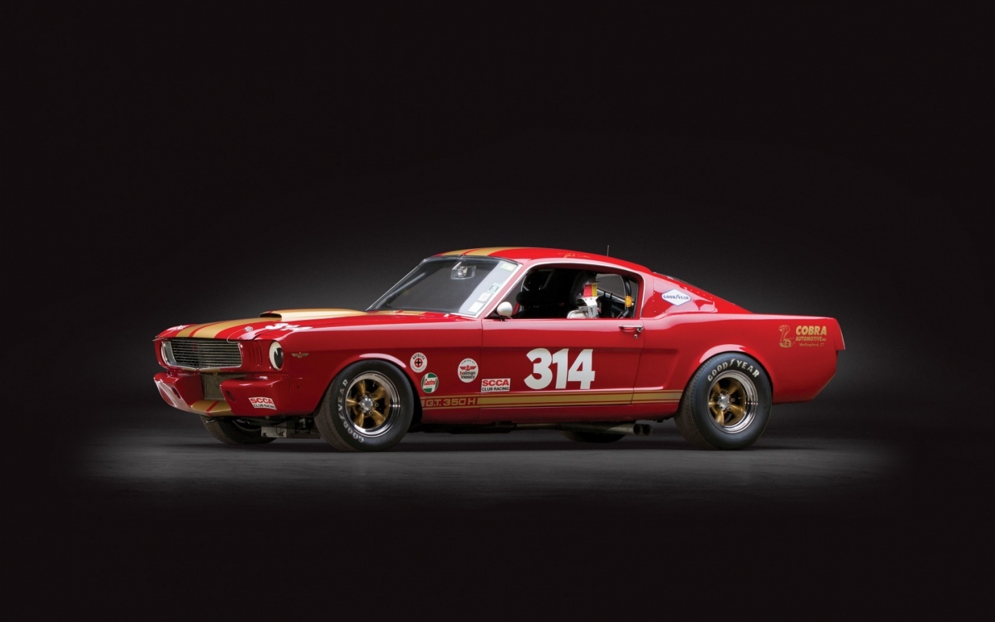 Cool Ford Mustang Shelby GT350h for 1440 x 900 widescreen resolution