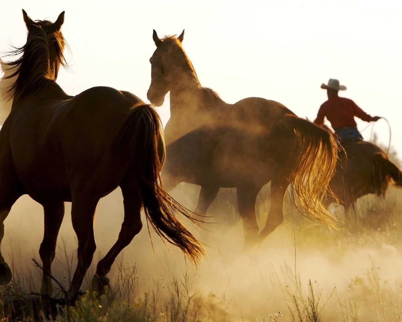 Cool Marlboro Country for 1280 x 1024 resolution