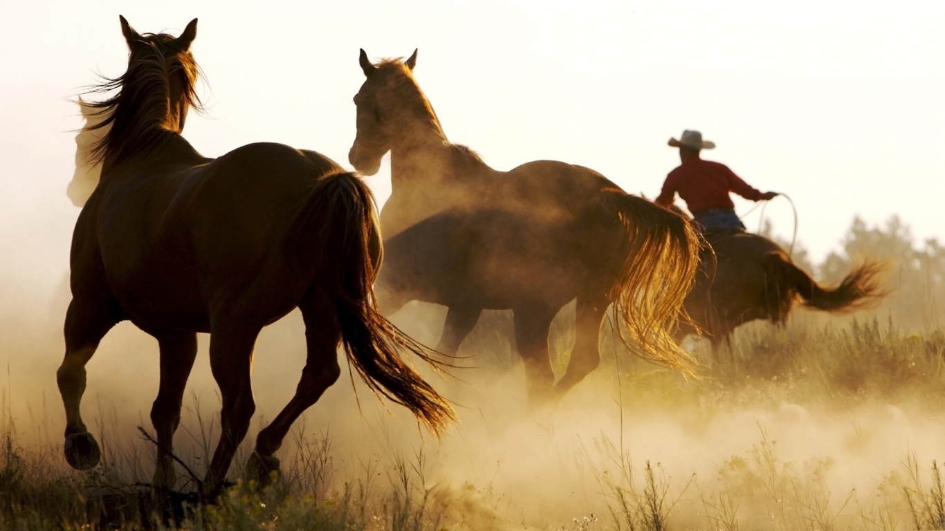 Cool Marlboro Country for 1366 x 768 HDTV resolution