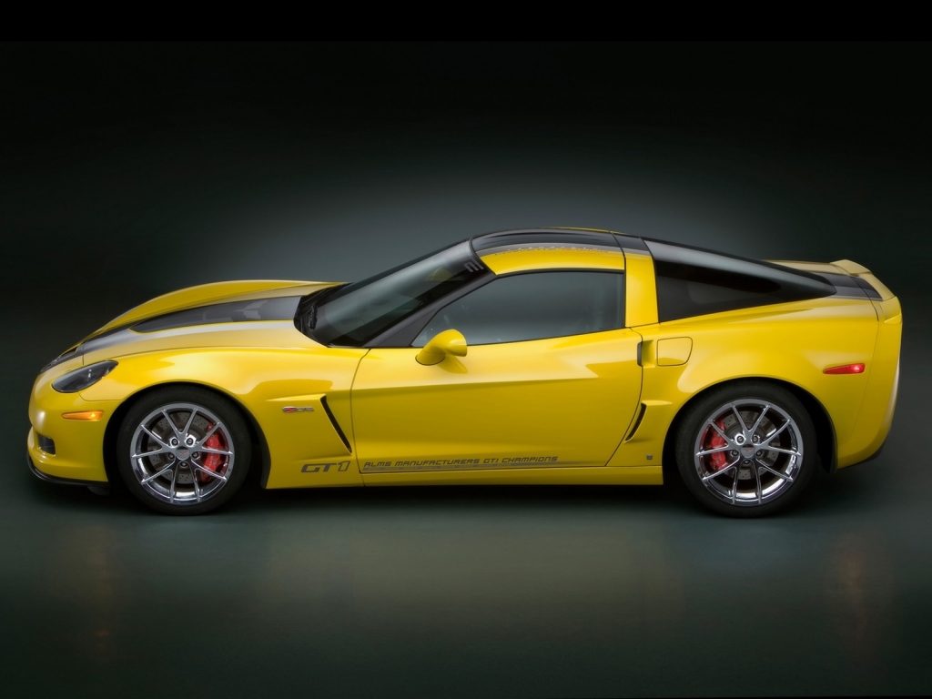 Corvette GT1 Championship Edition Side 2009 for 1024 x 768 resolution